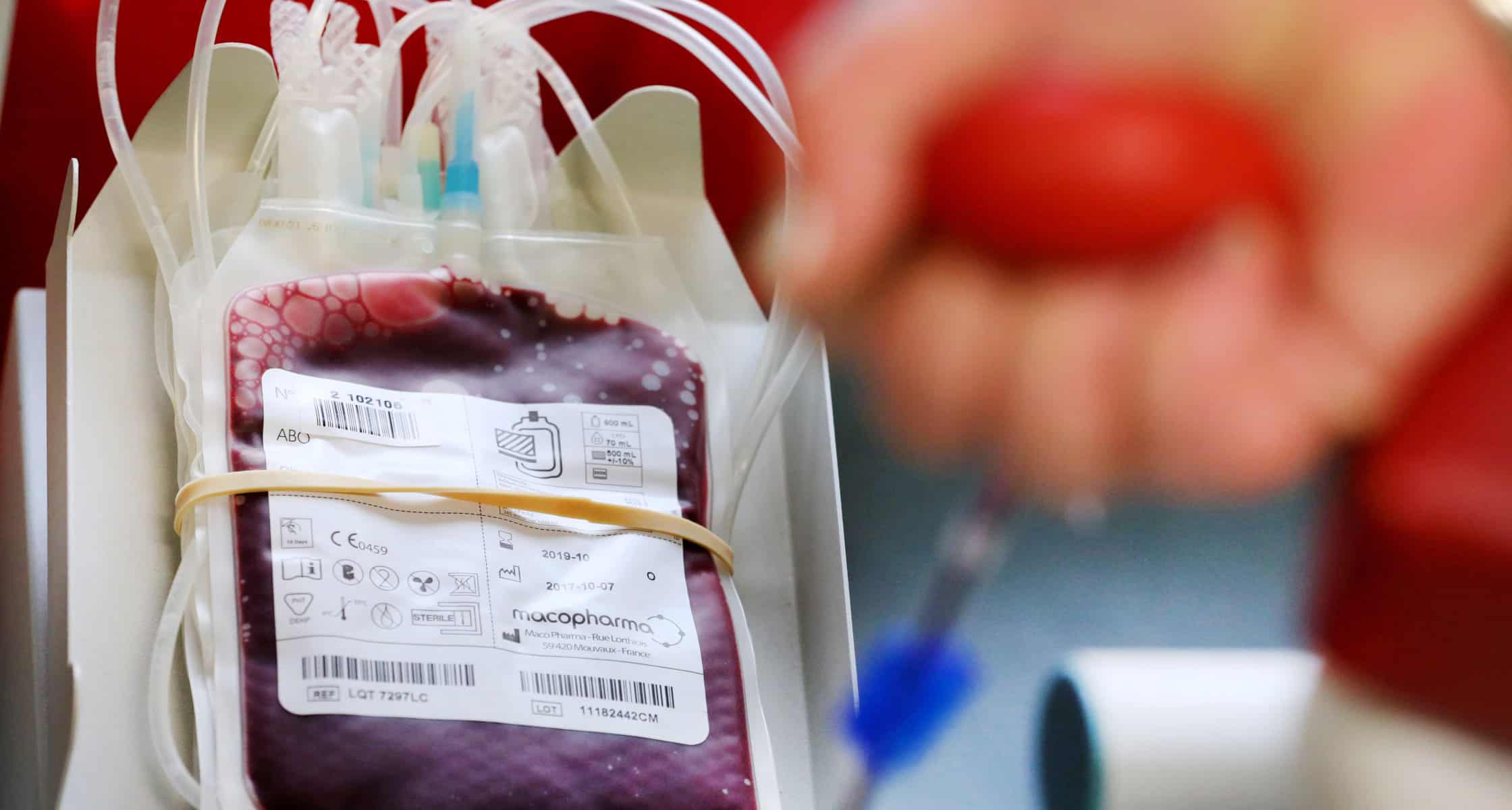 Día de la Donación de Sangre: ¿por qué no se permite donar a los gays?