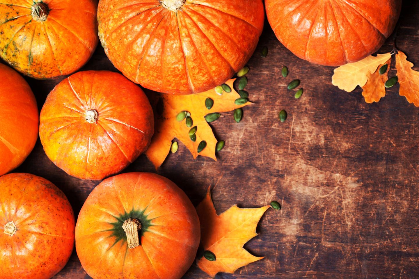 Pumpkin ideas for autumn - from "spooky" to "romantic and delicious 