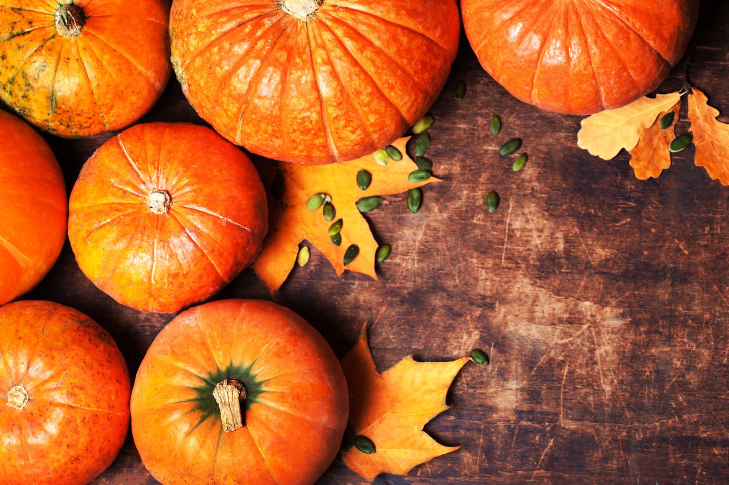 Ideas con calabazas para el otoño: de "espeluznantes" a "románticas y deliciosas 